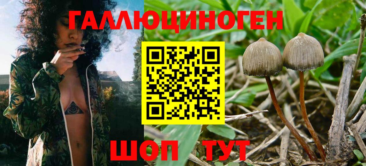 Галлюциногенные грибы MAGIC MUSHROOMS Томск