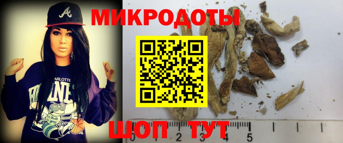 Псилоцибиновые грибы MAGIC MUSHROOMS  Вход с VPN  купить наркотик  Томск 