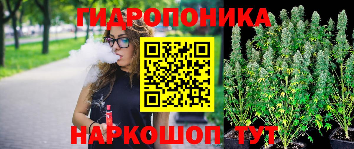 Канабис OG Kush  Вход с VPN  МАРИХУАНА семена  Томск 